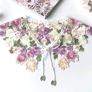 Embroidered Faux Lace Hollow Out Collar with Closure